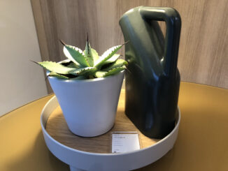 MUUTO(ムート)プラットフォームトレイとタブジャグ